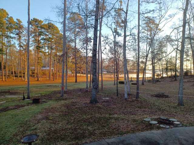 Catfish Cove, 205 Holiday Dr. S, Abbeville, AL – Waterfront